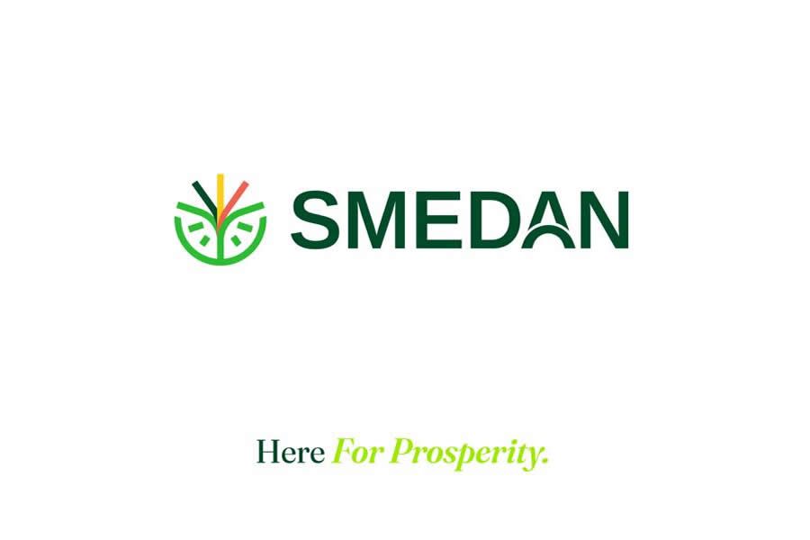 SMEDAN decries low financial literacy among MSMEs