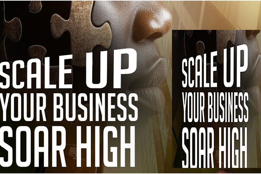 SME Scale-Up: Empowering Nigerian Businesses for Growth