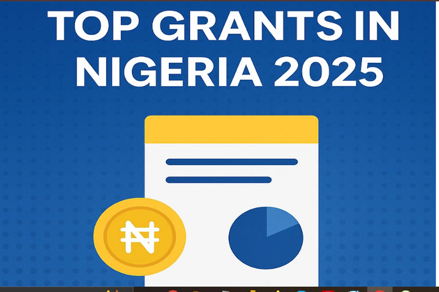 How to Access Grants and Soft Loans for Nigerian SMEs in 2025