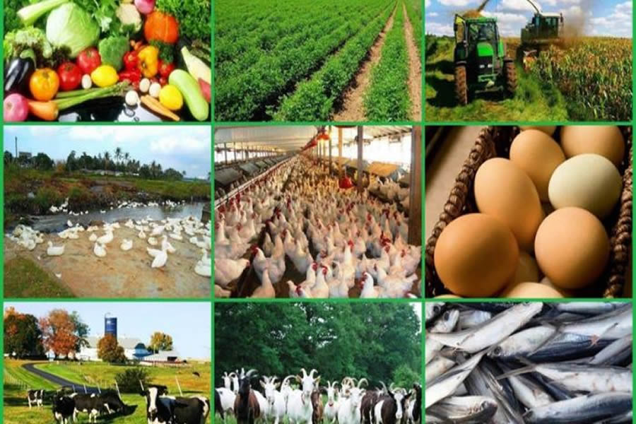 Top 5 Lucrative Agricultural Niches for Nigerian Entrepreneurs in 2025