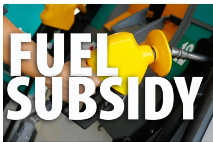 Surviving Fuel Subsidy Removal: Tips for Cost-Cutting in Nigerian SMEs