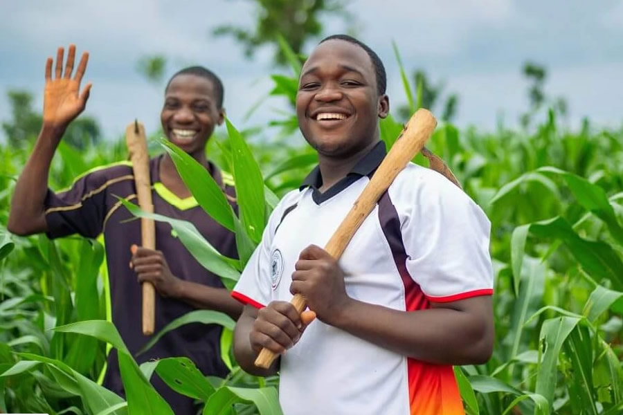 Is Farming Still Worth It in Nigeria? Here’s What You Need to Know