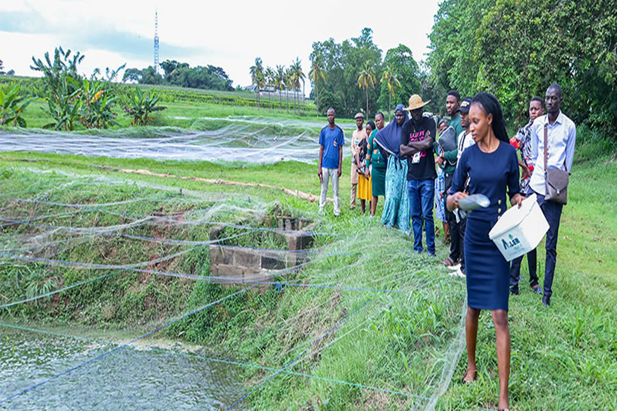 Why Agribusiness Is the Future of Youth Employment in Nigeria