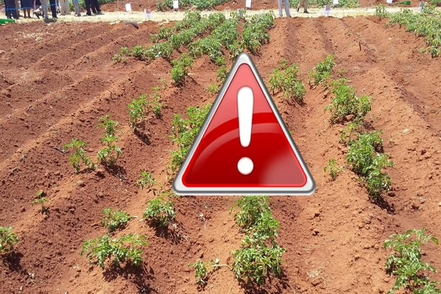 Mistakes First-Time Agribusiness Owners Make—and How to Avoid Them