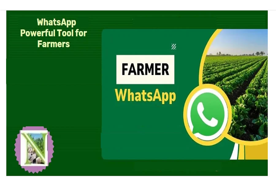 How to Use WhatsApp to Manage Orders and Market Your Farm Produce